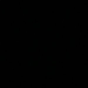 Meet your Posher, Mya